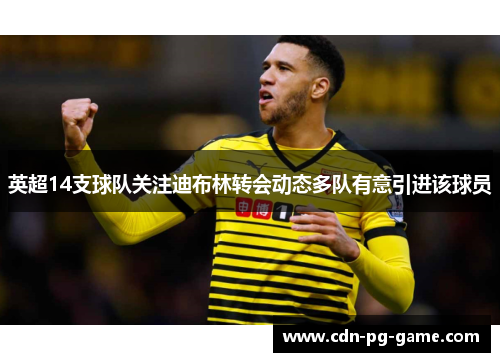 英超14支球队关注迪布林转会动态多队有意引进该球员